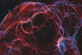 Simeis 147 Spaghetti Nebula fine art astrophotography print by Deep Sky Studio
