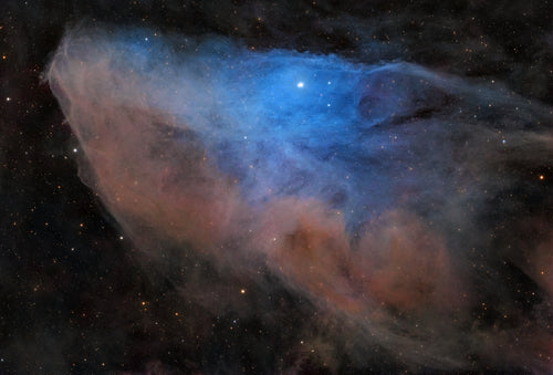 IC 4592 Blue Horsehead Nebula fine art astrophotography print by Deep Sky Studio